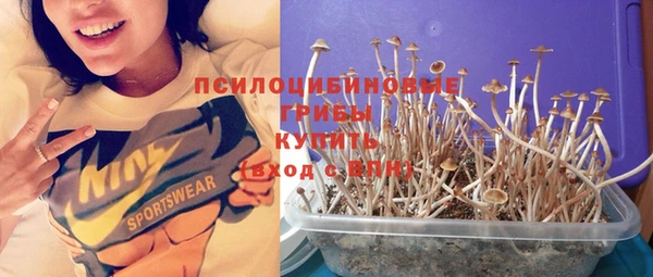 а пвп мука Баксан